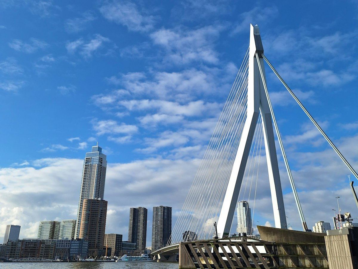 De Erasmusbrug in Rotterdam